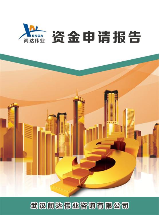 武汉锂电新材料生产建设项目资金申请报告