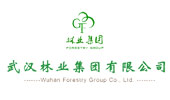 武汉林业集团